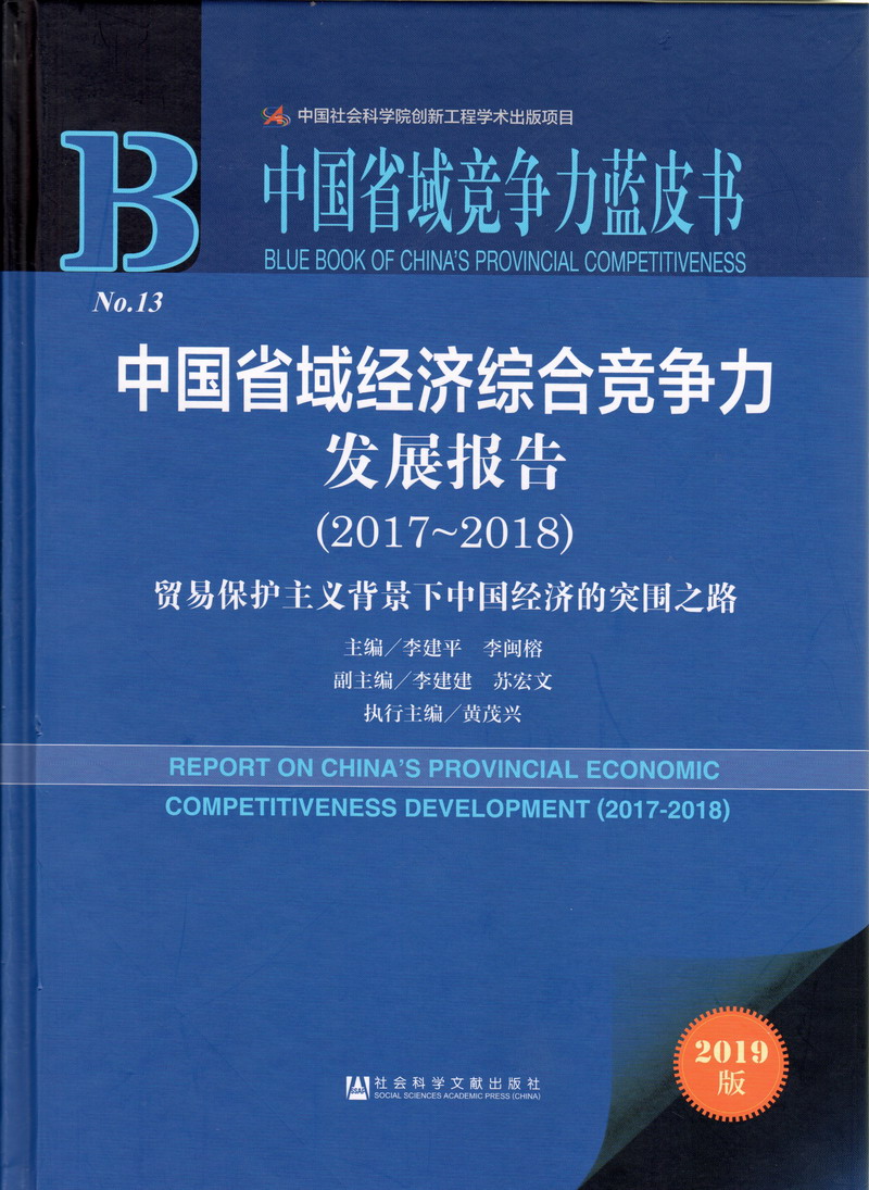 大黑鸡巴肏小嫩逼视频中国省域经济综合竞争力发展报告（2017-2018）